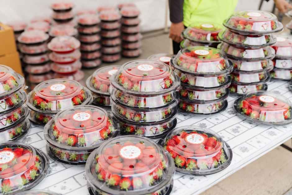 2026 진주딸기축제 (10).jpg