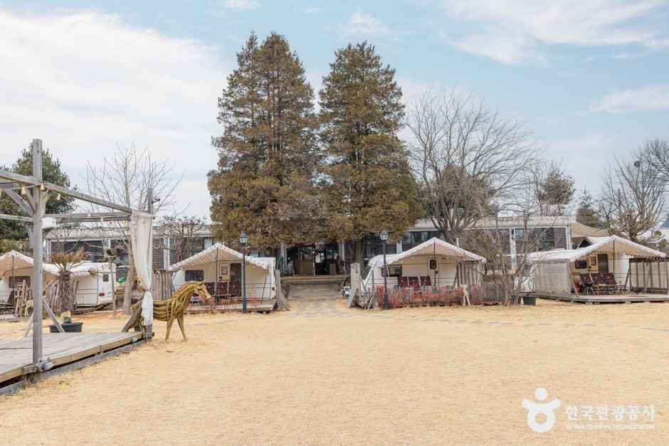 인천_강화캠핑파크 (5).jpg
