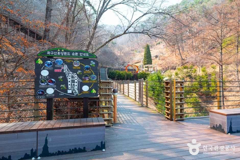 좌구산 자연휴양림