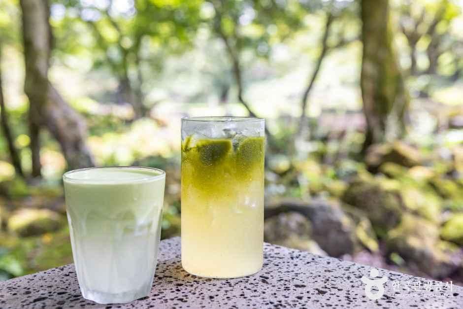 제주_이끼숲소길 (2).jpg