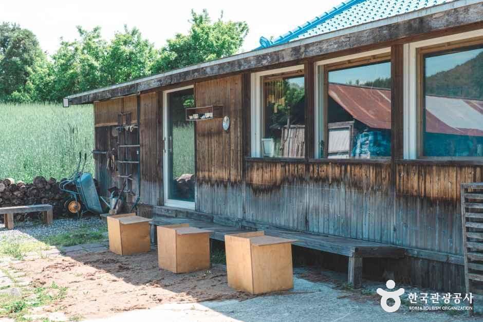 이가본때