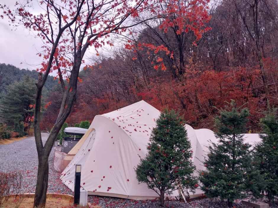 산정호수돌고래캠핑장