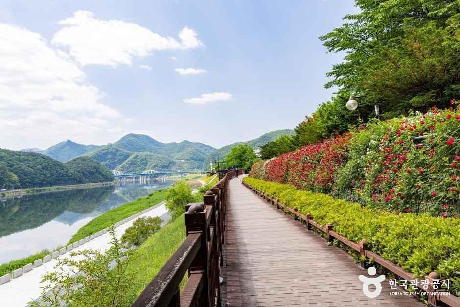 소금정공원 장미터널