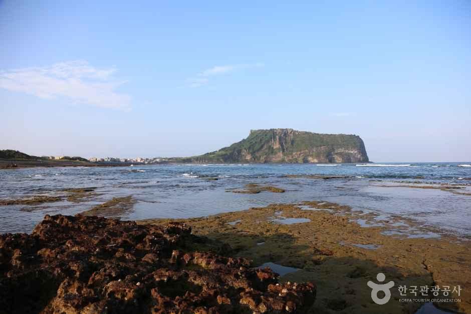 제주_광치기해변_5.JPG