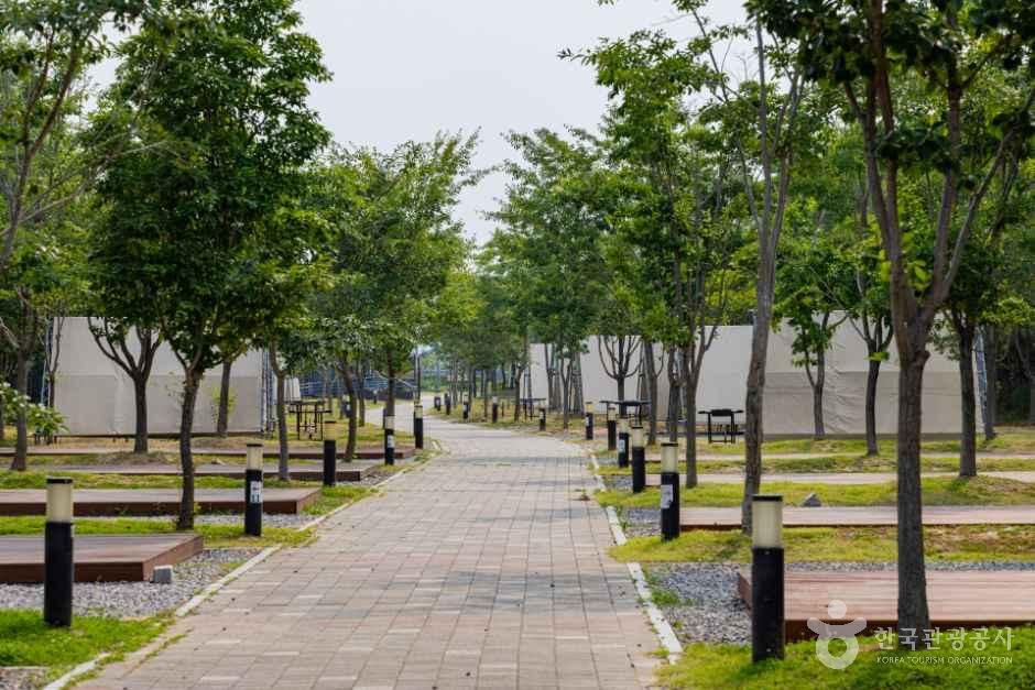 영종씨사이드캠핑장