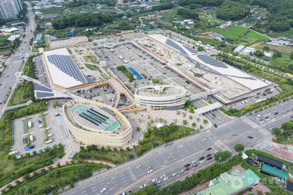 인천_남촌농산물도매시장 (10).jpg