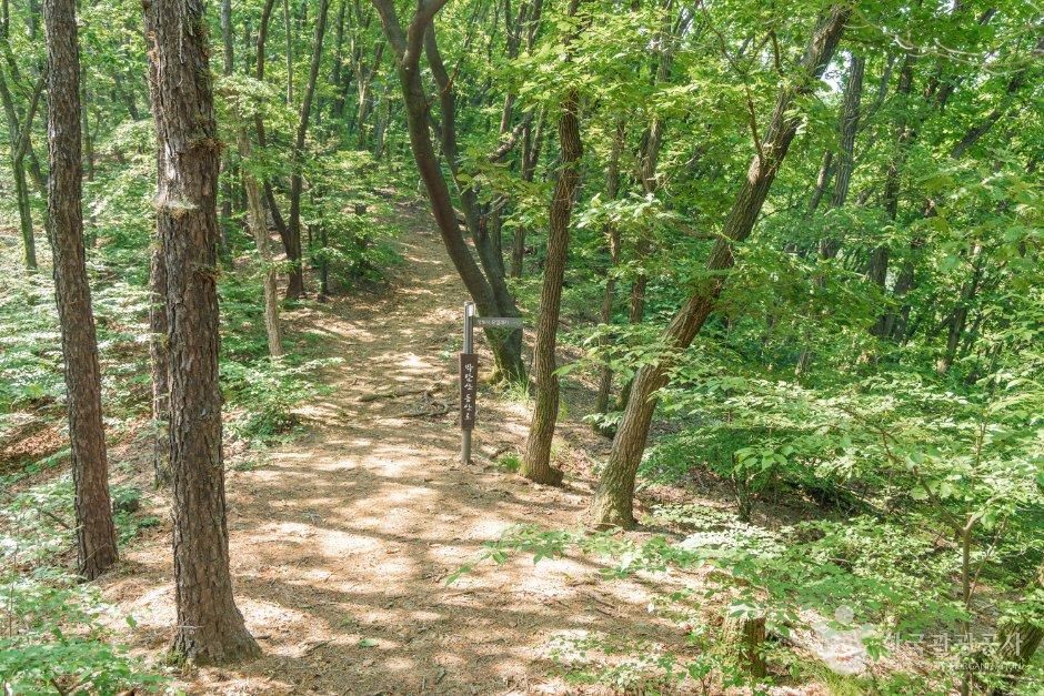 박달산(파주)