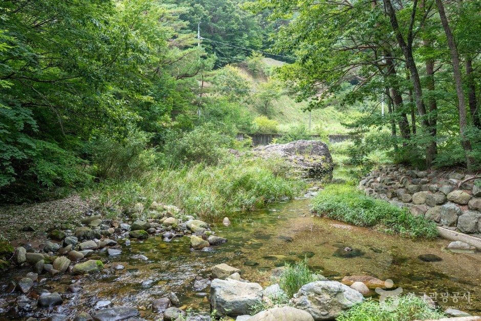 본신계곡 사진 5