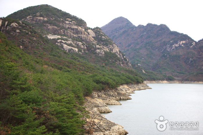 충주호 충주호