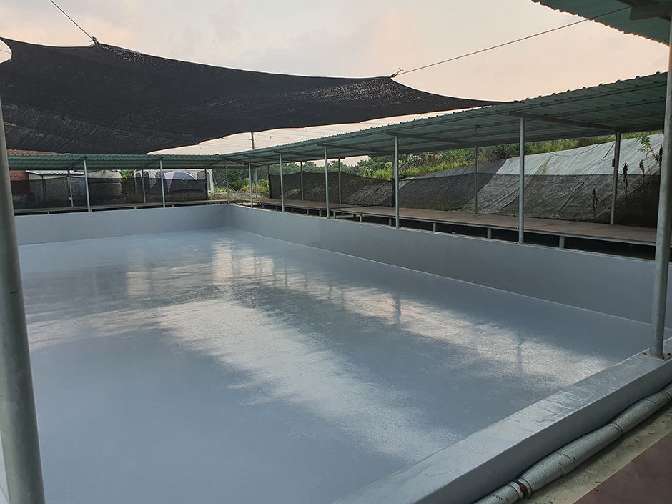 百済キャンプ場