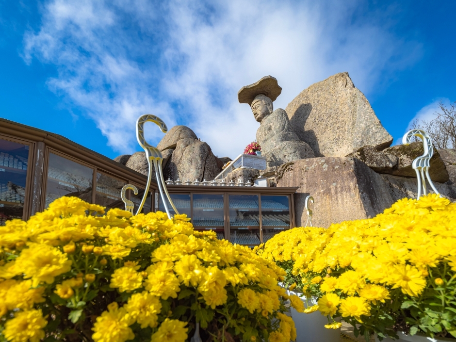 八公山国立公園（カッバウィ地区）