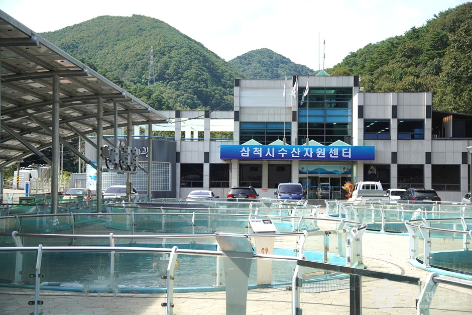 三陟淡水魚展示館
