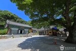 일락사(서산) 사진 6