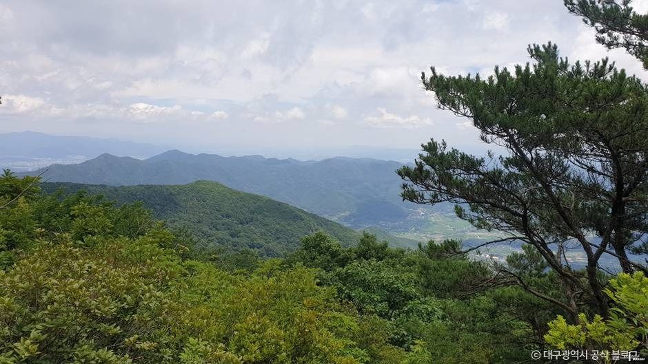 崔正山