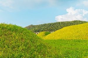 나주 복암리 고분군