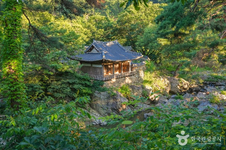 초간정