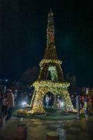 2025 유성국화축제 3