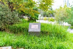 불당동 유적공원 (선사유적지 공원)