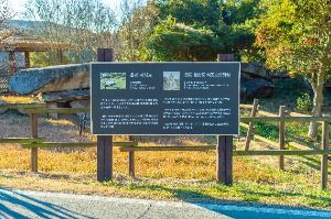 읍리지석묘와 하마비 사진 8