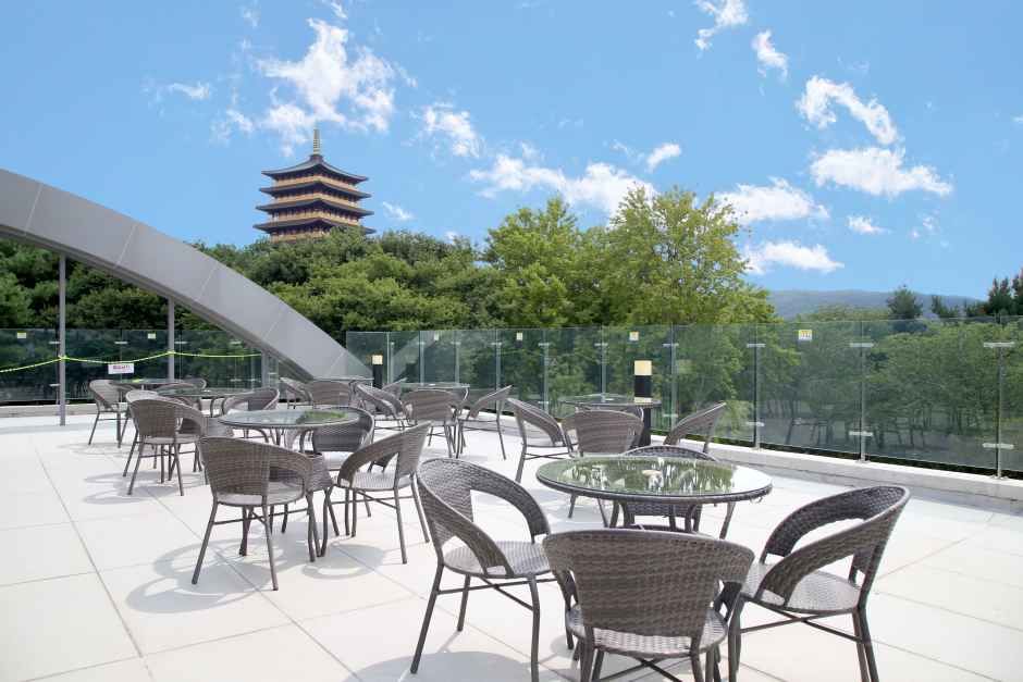 경주_더 케이 호텔 경주_루프탑.jpg