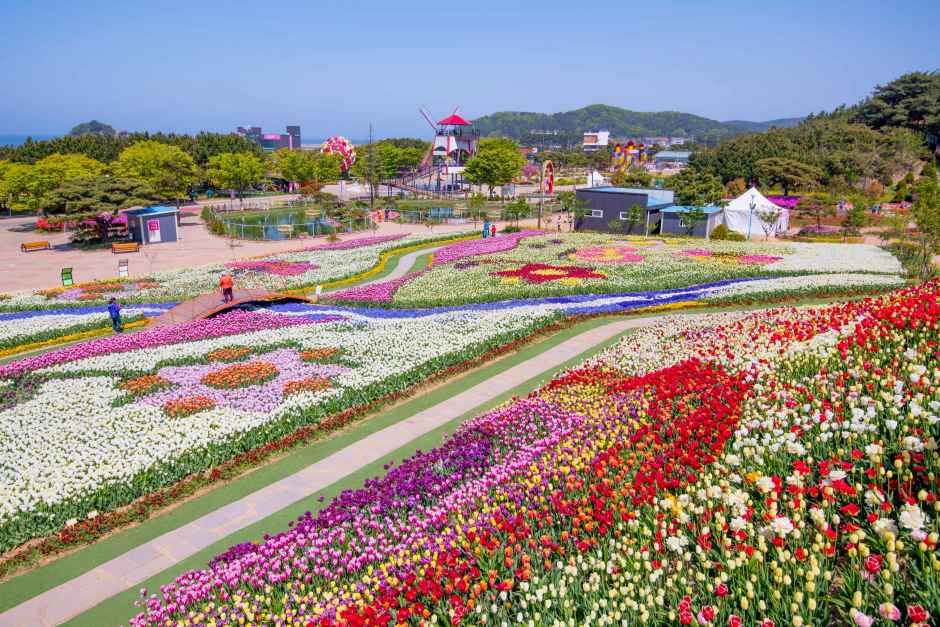 Taean Tulip Park 