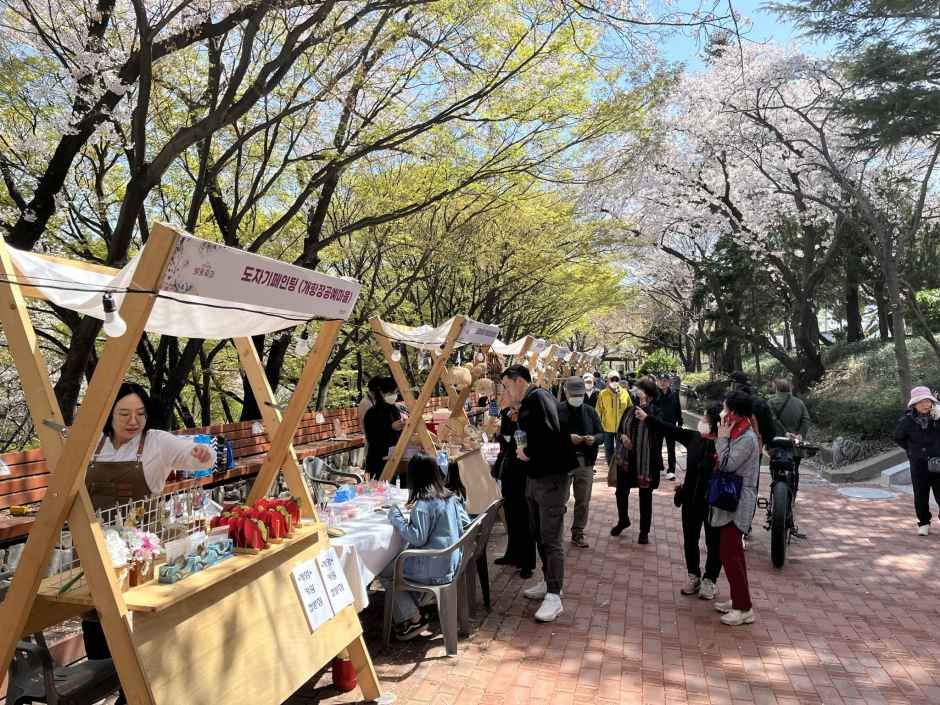 自由公園 桜祭り