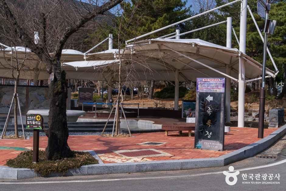 경남_창녕_부곡온천 관광특구_외부_5.jpg
