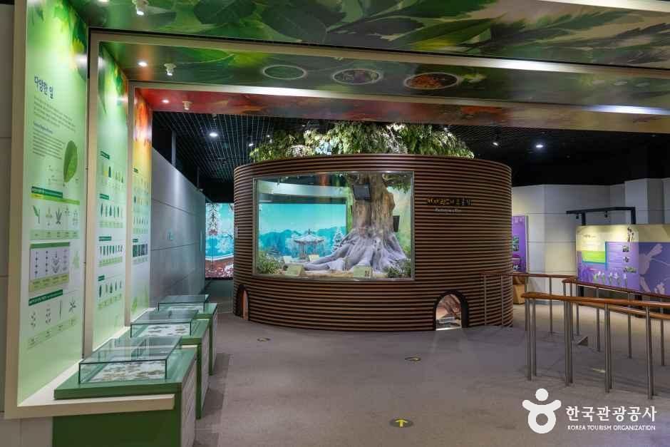 4062399 image2 1 예스키즈존 탐험대 : 실패 없는 육아여행
