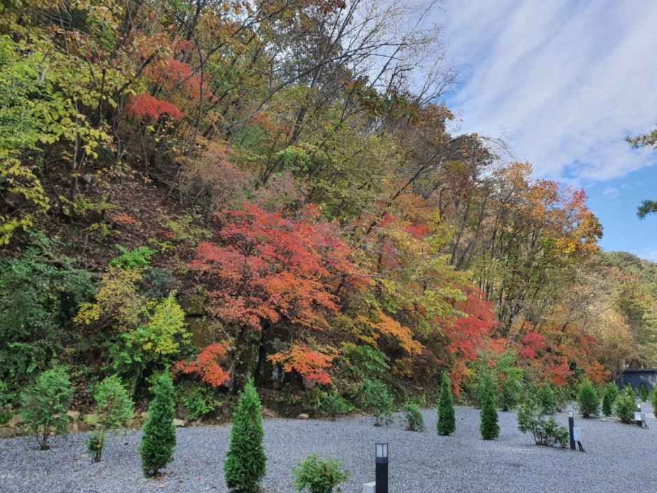 산정호수돌고래캠핑장