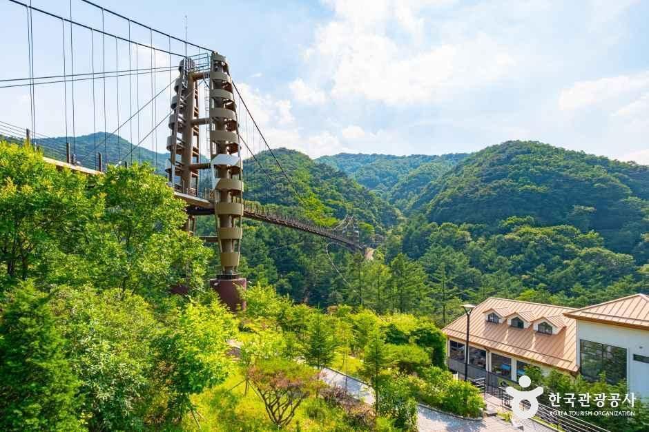 증평 좌구산 명상구름다리 - 충청북도 증평군 증평읍 솟점말길 107 관광 명소