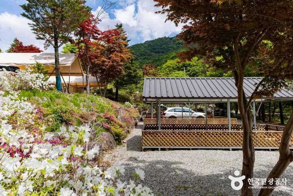 달재오토캠핑장