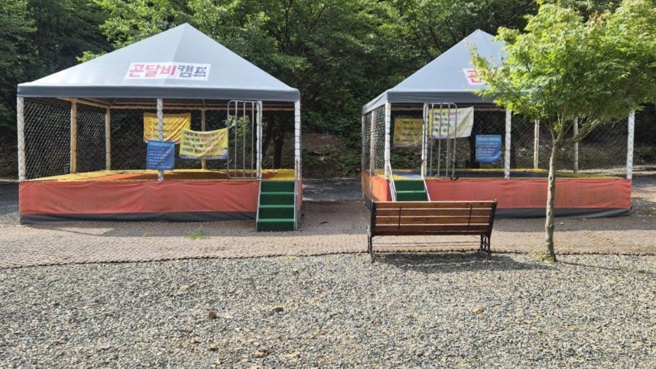 곤달비캠프