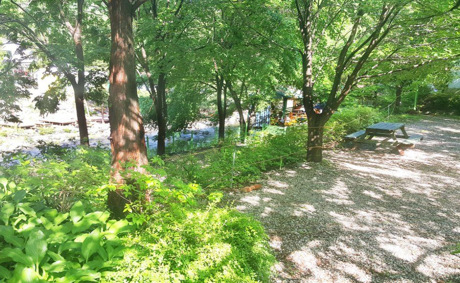 유명산 들꽃여울 캠핑장