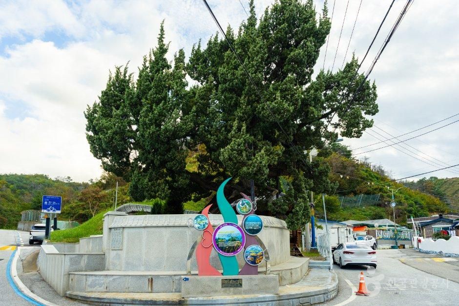 강원_삼척시_고포마을 (3).jpg