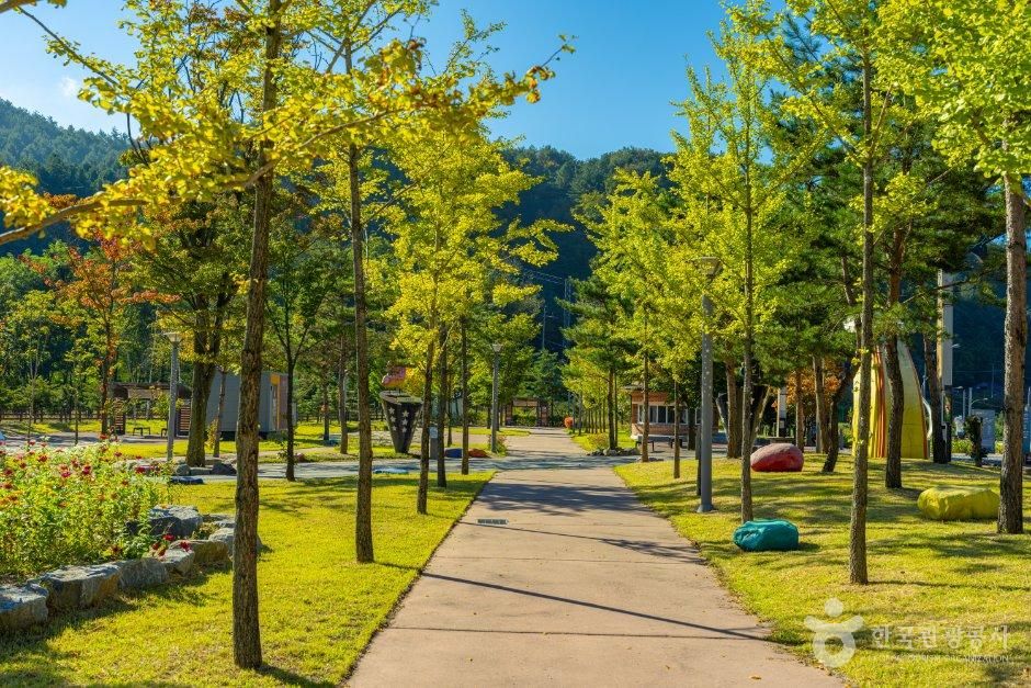 오로라파크