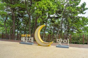 달맞이동산