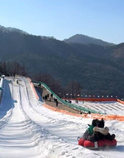 楊州雪花節雪橇滑道