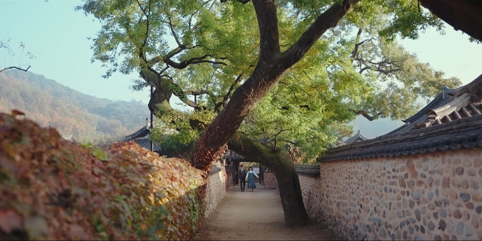Pagoda Tree Couple of Namsa Yedamchon Village