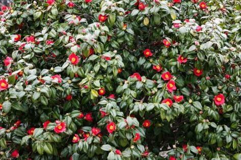 Odongdo Island in Yeosu