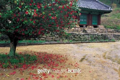 Seonunsa Temple in Gochang
