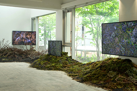 GARDENING exhibition (Credits: Piknic)