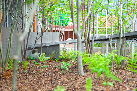 GARDENING exhibition (Credits: Piknic)