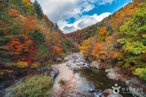 Odaesan National Park