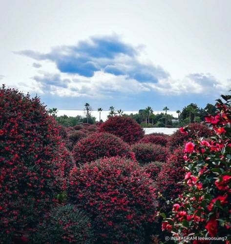 View from the arboretum’s observatory