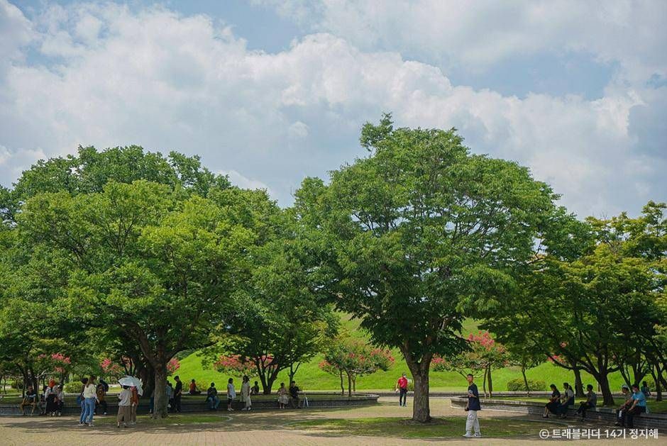 Daereungwon Ancient Tomb Complex