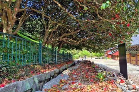 Seonunsa Temple in Gochang