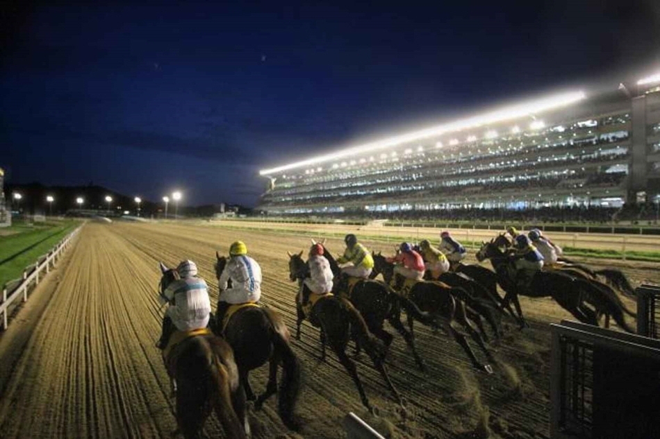 レッツランパークソウルの本馬場を出走する競走馬