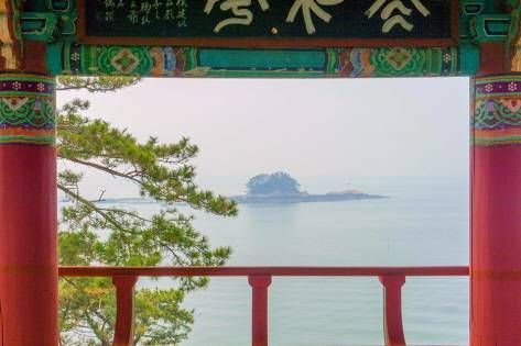 Seocheon Maryang-ri Camellia Forest