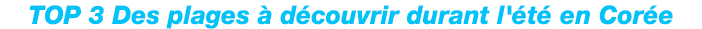 TOP 3 Des plages à découvrir durant l