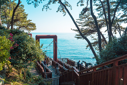 l’île des camélias (aut : Danim 4gi Ryu Chae-u)